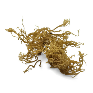 Sea Moss Sample Bundle