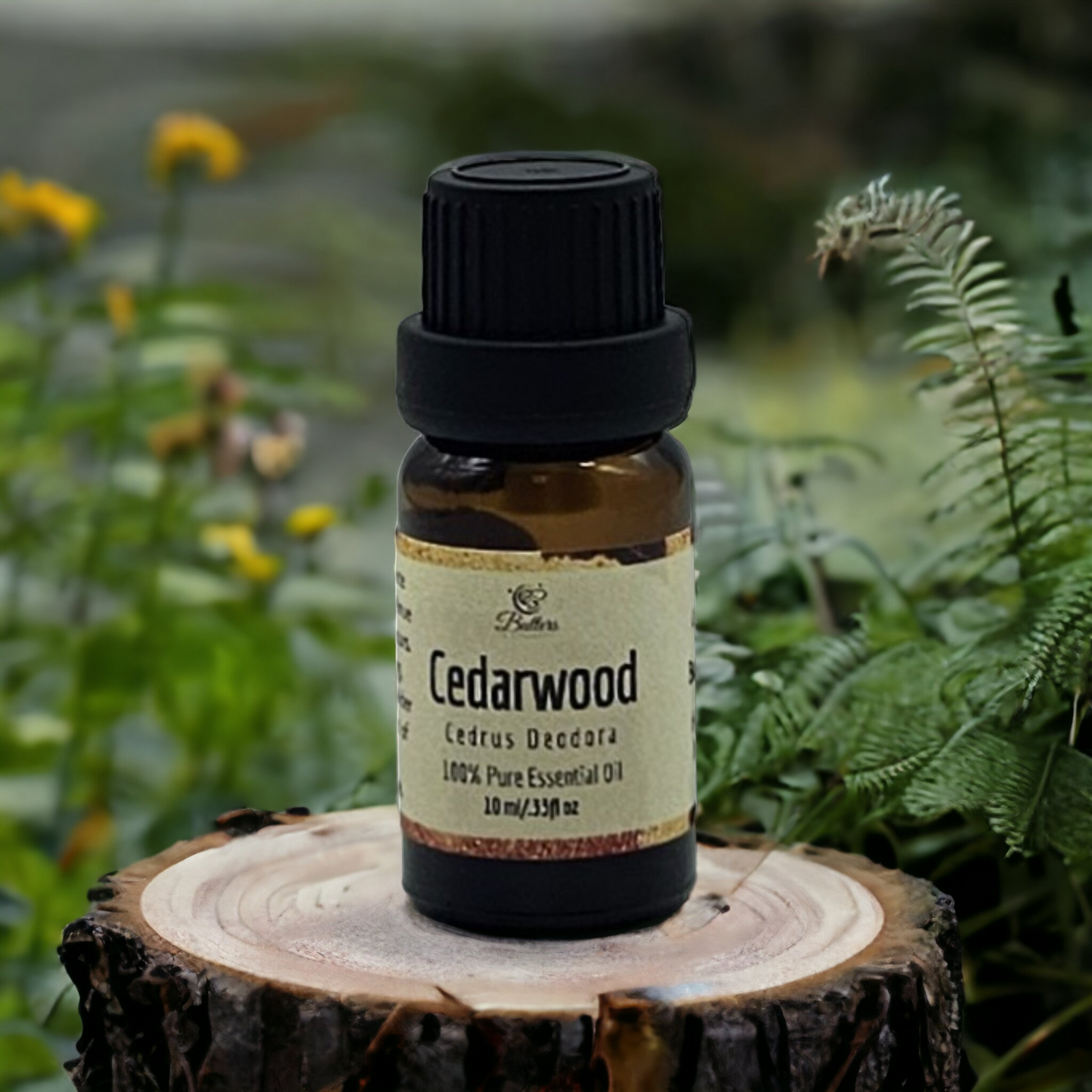 Cedarwood - Himalayan