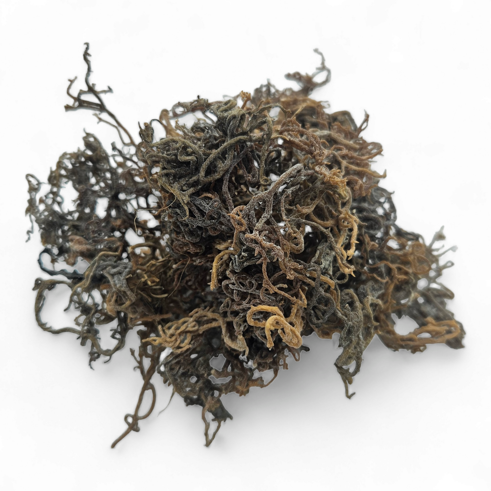 Raw Wildcrafted African Seamoss