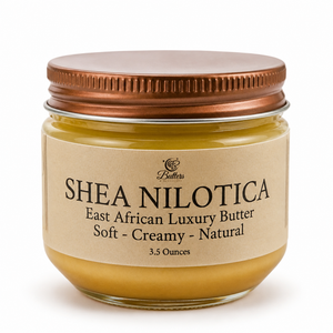 Shea Nilotica