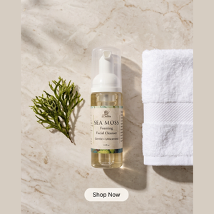 Sea Moss Foaming Facial Cleanser