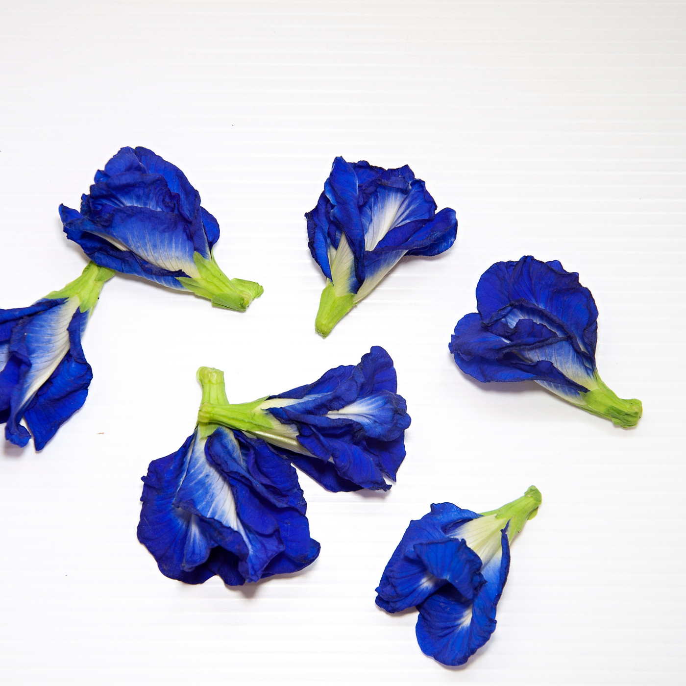 Butterfly Pea Flower