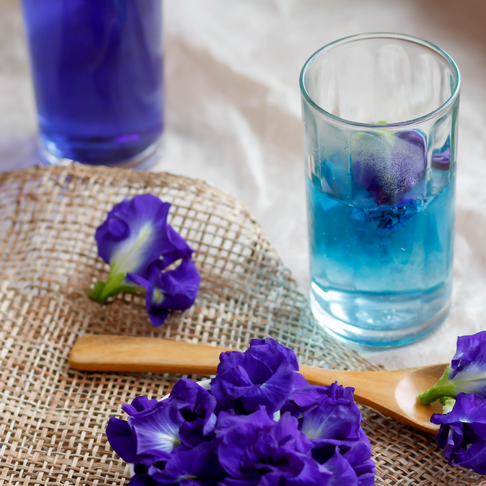 Butterfly Pea Flower