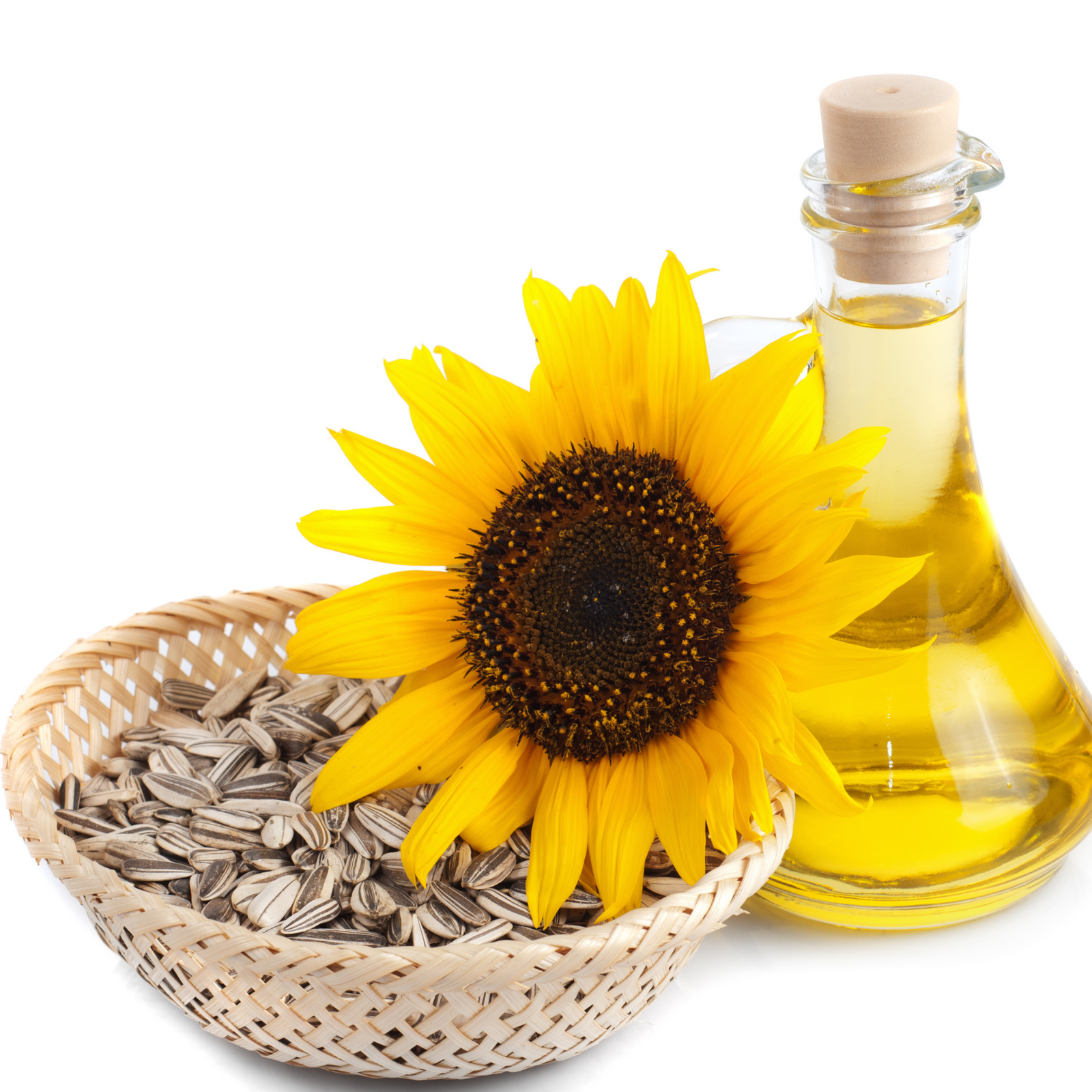Sunflower Oil