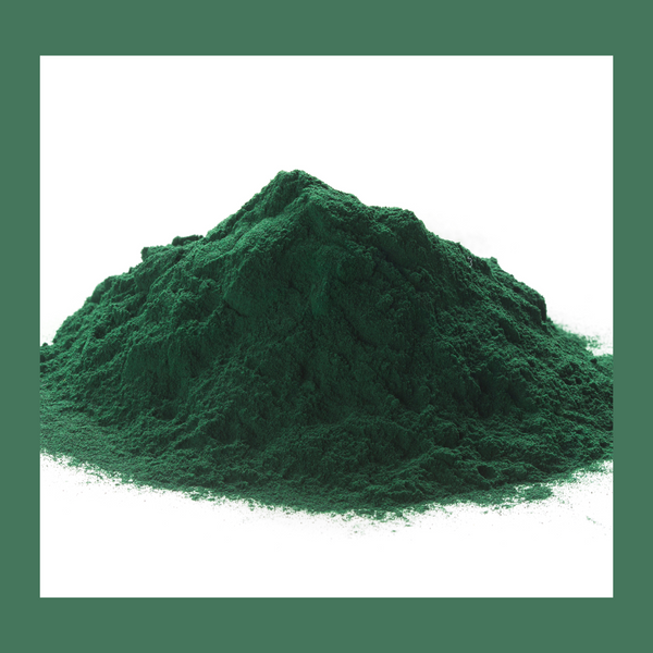 Spirulina Blue Green Algae Powder - Butters and Blacksoap