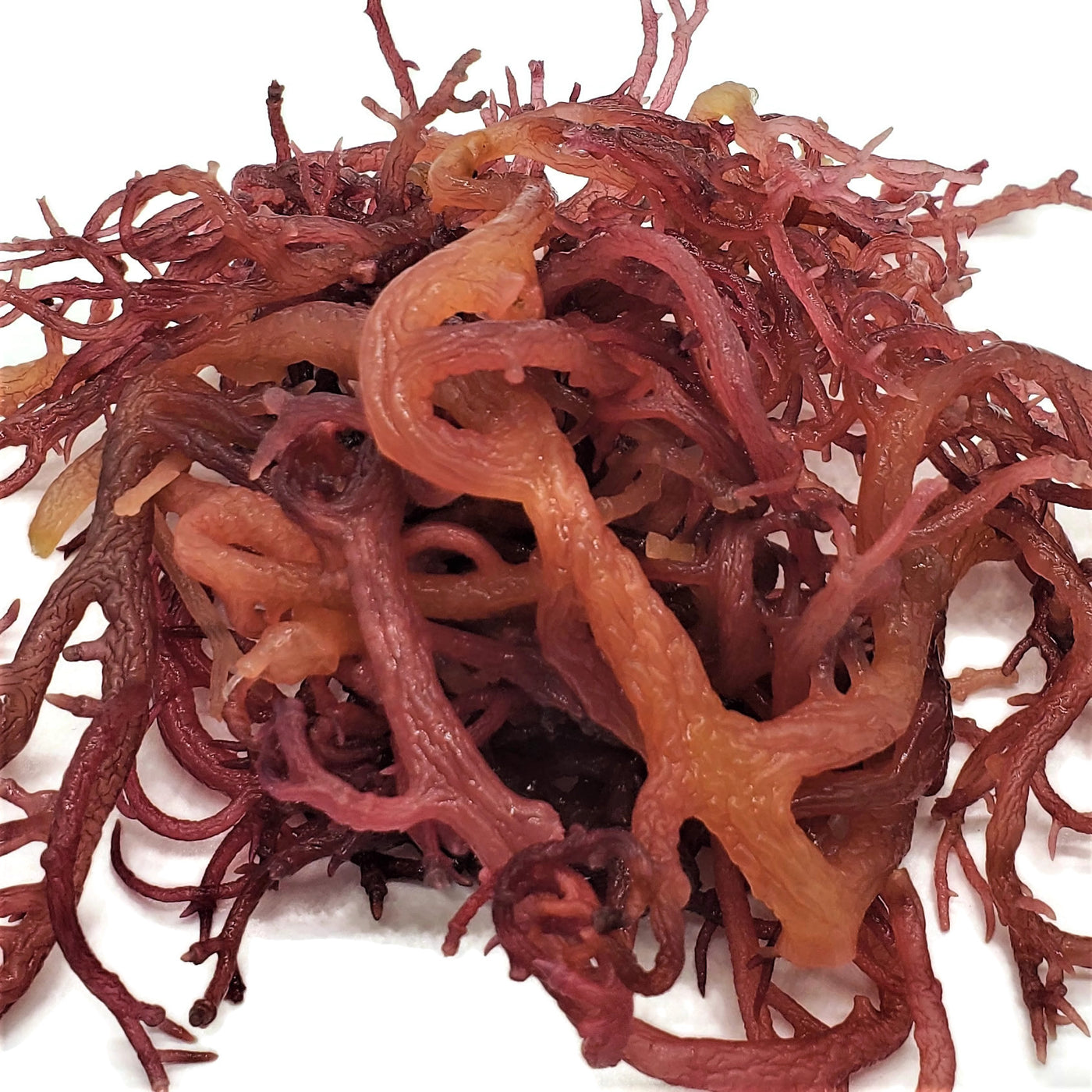 Purple Sea Moss Gel