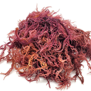 Purple St. Lucian Sea Moss