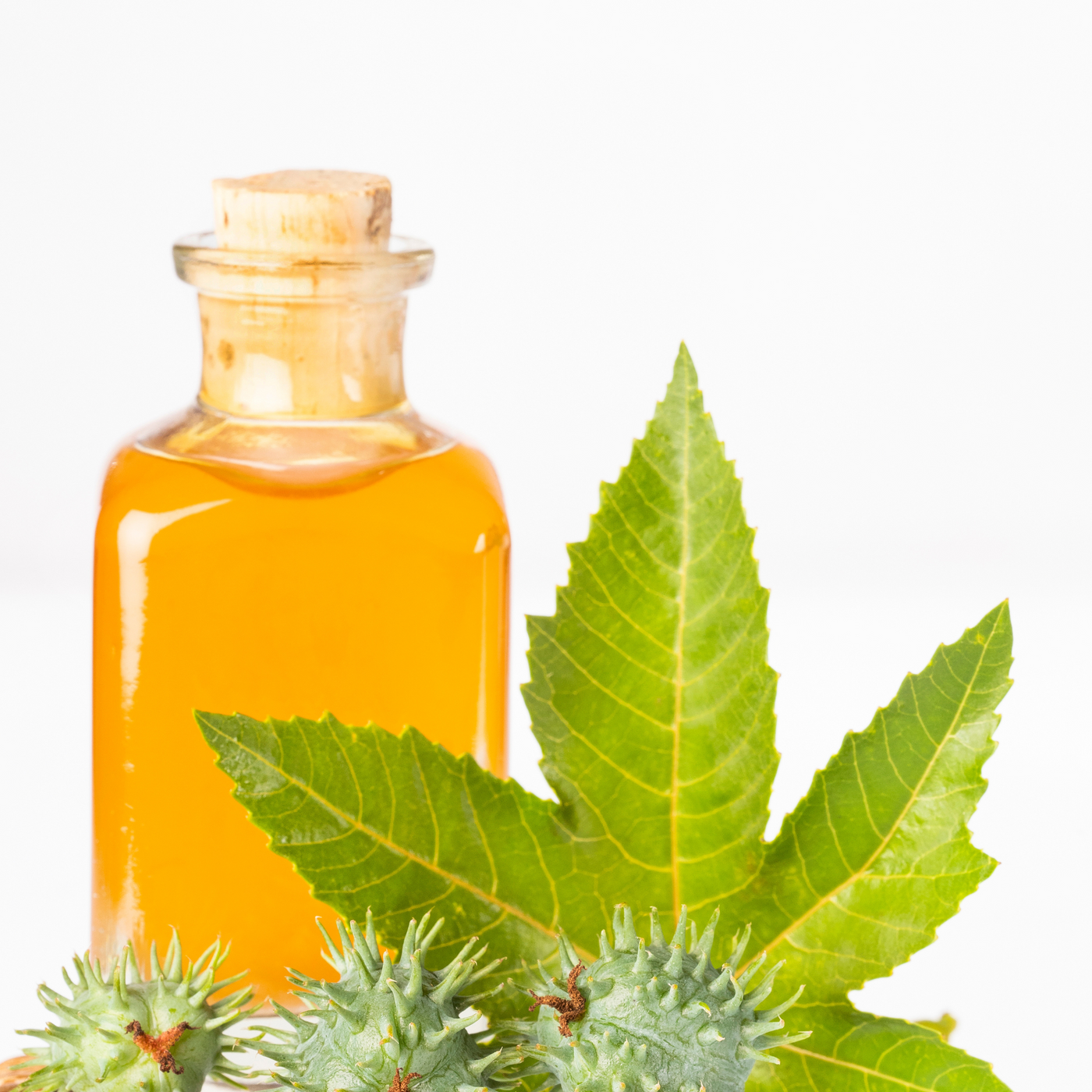 Castor Oil
