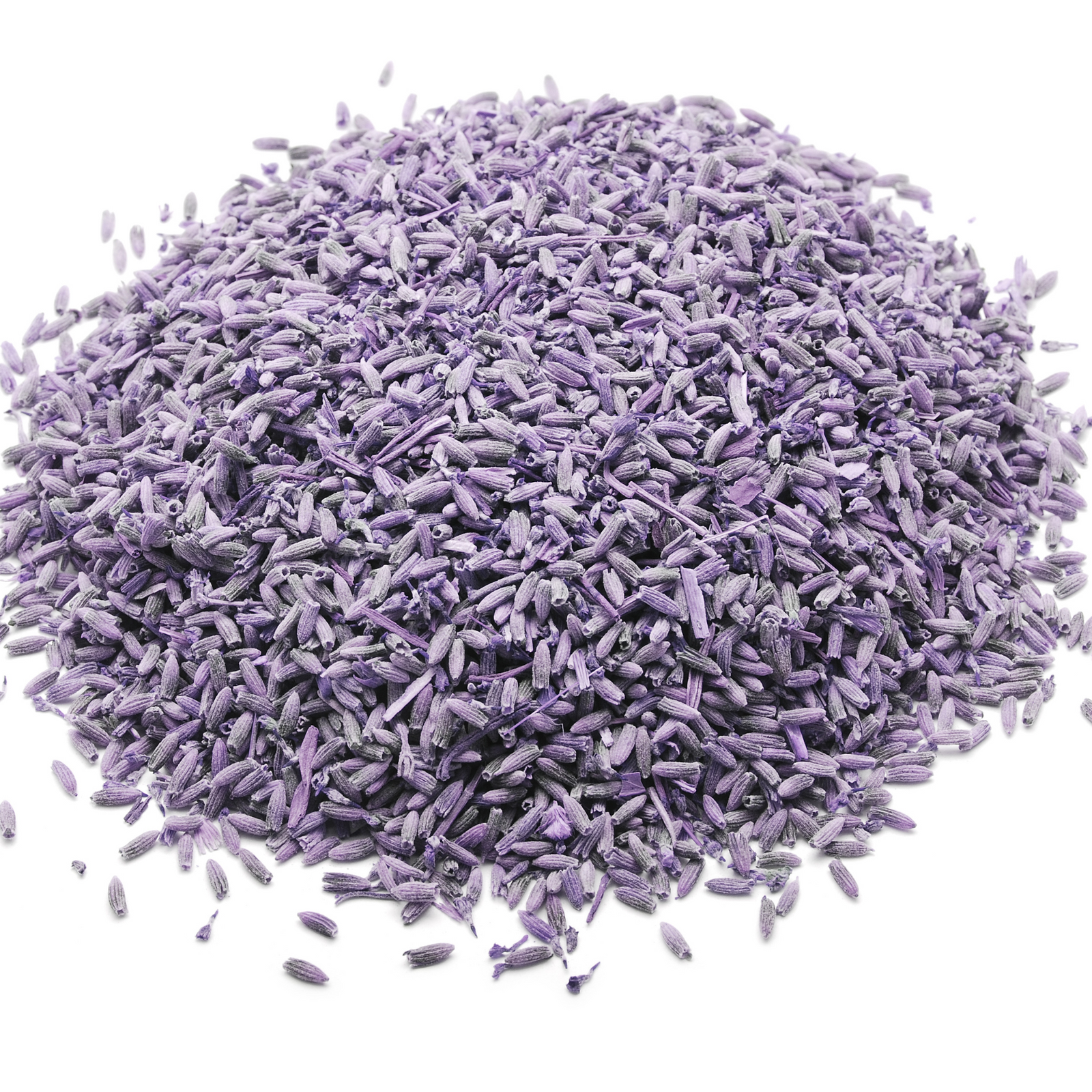 Premium Blue Lavender Flowers – Sourced from Provence, France